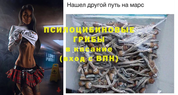 круглые Алзамай