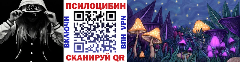 Галлюциногенные грибы Psilocybe  Череповец 